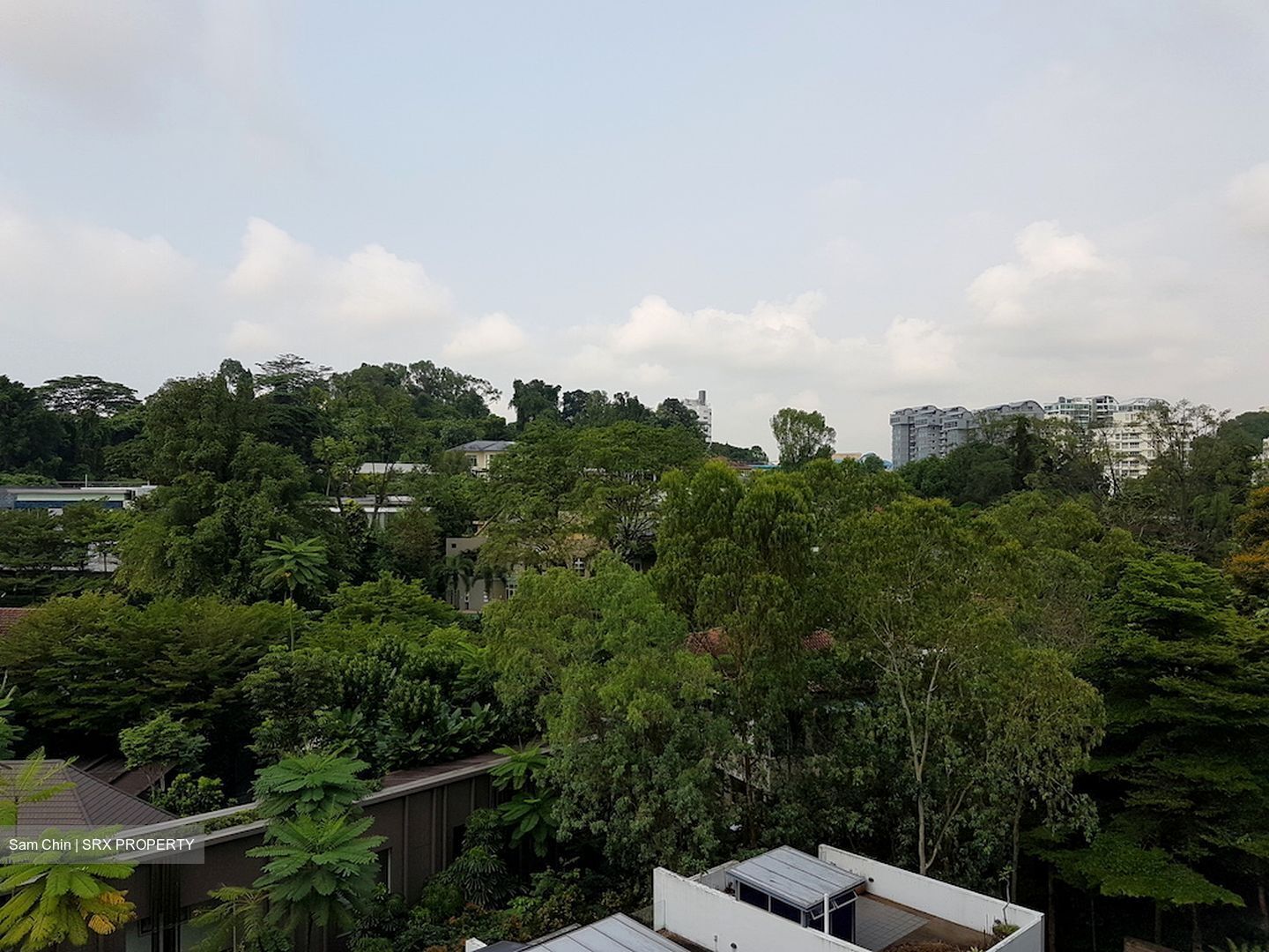 Verdure (D10), Condominium #613059061